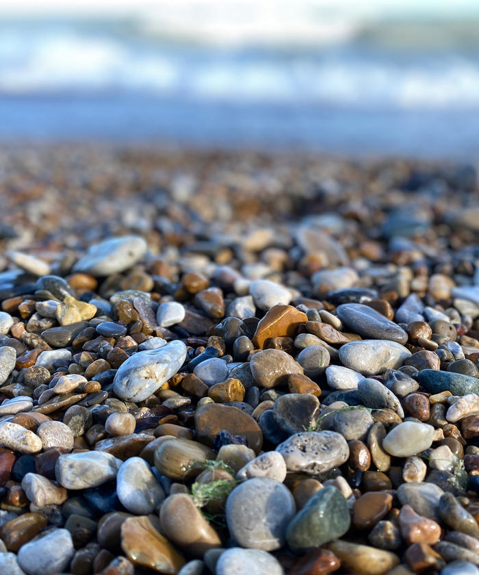 a close up of a beach
