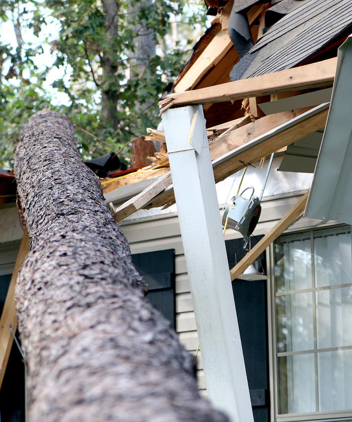 a tree trunk falling off a roof