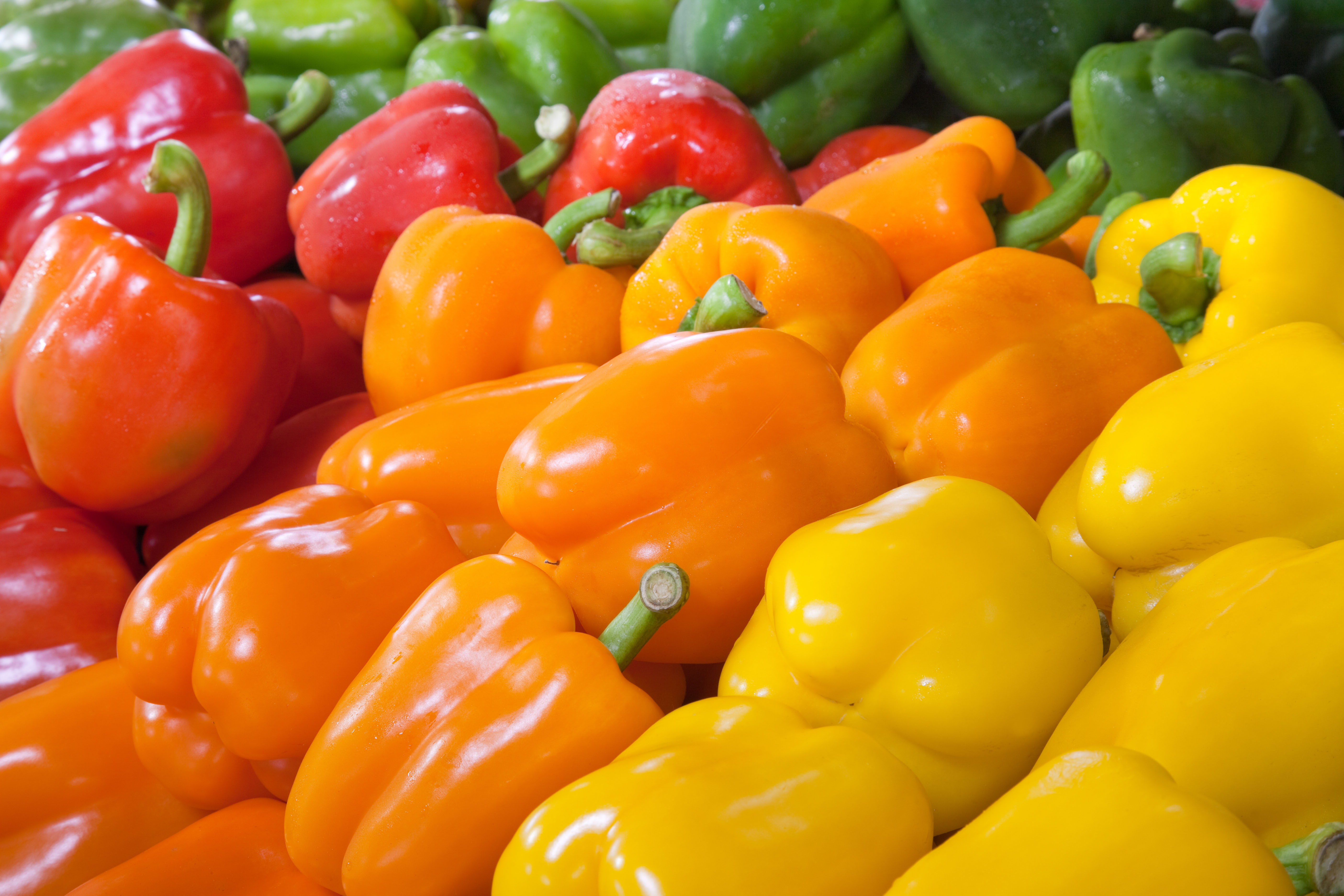 Customer Service Representative, Byron Center, Michigan SpartanNash